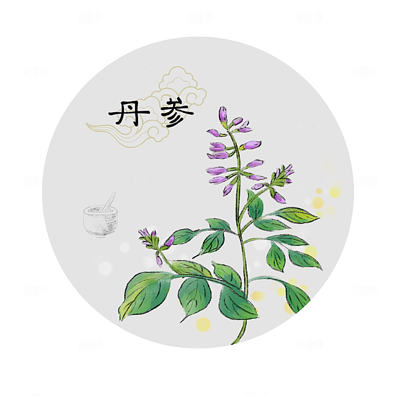 中草药作用与功效介绍插画