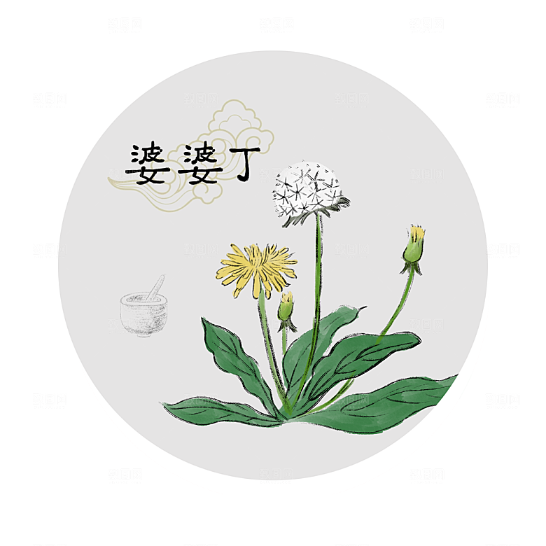 中草药作用与功效介绍插画