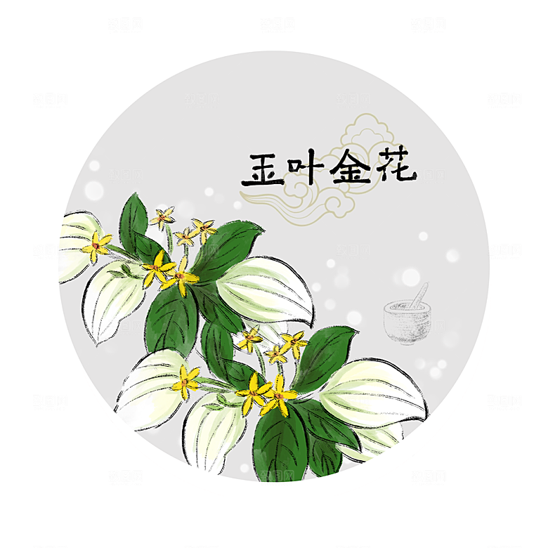 中草药作用与功效介绍插画