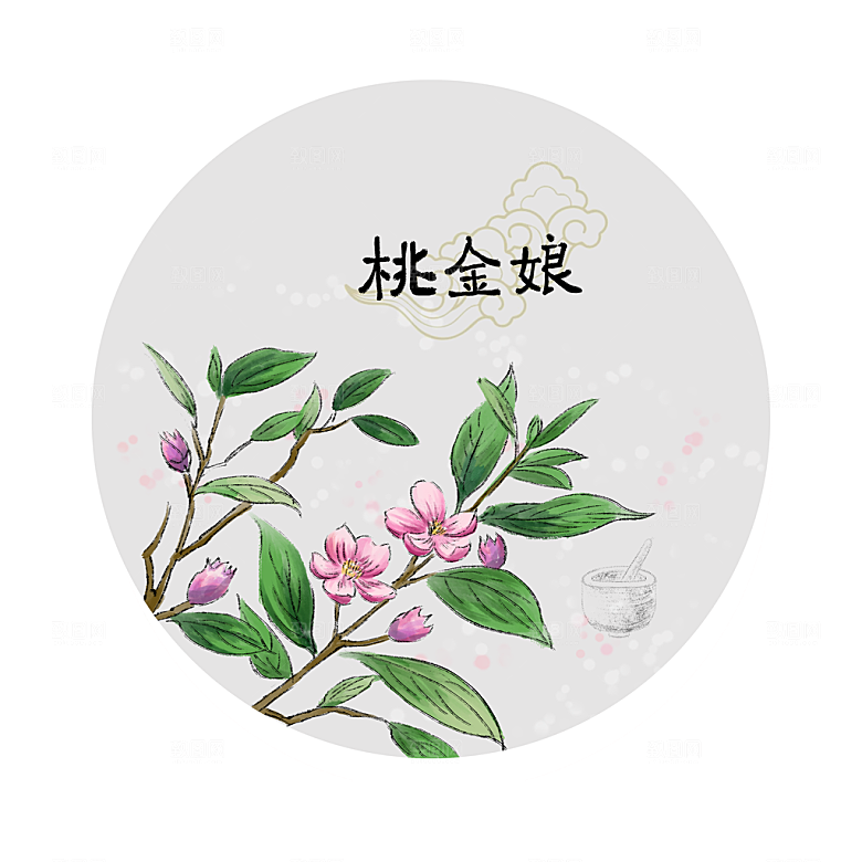 中草药作用与功效介绍插画