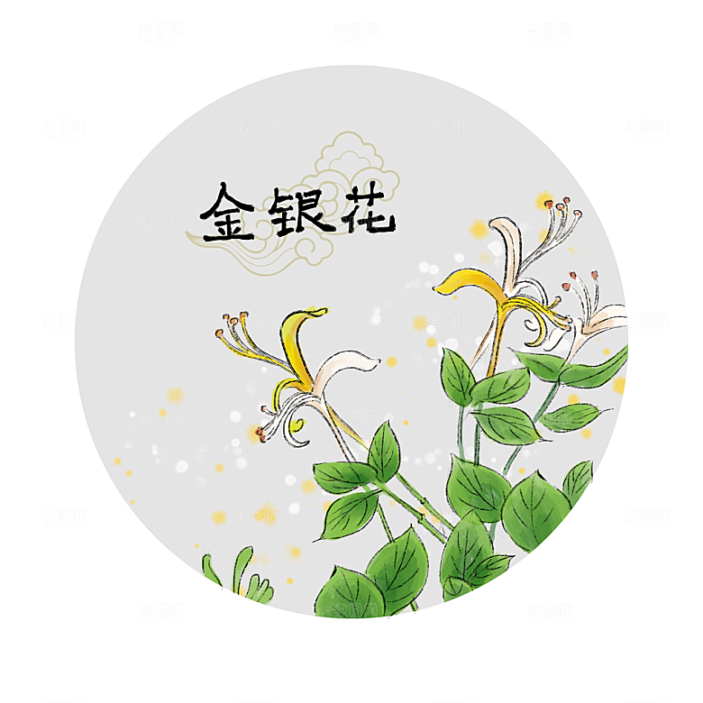 中草药作用与功效介绍插画