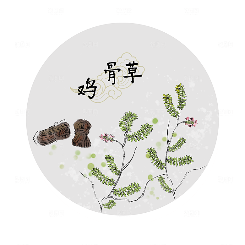 中草药作用与功效介绍插画