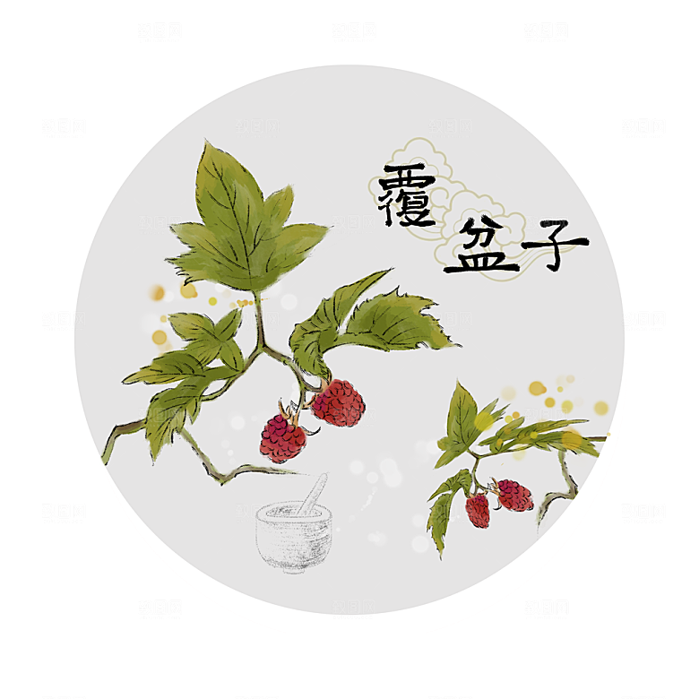 中草药作用与功效介绍插画