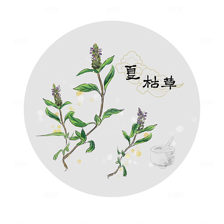 中草药作用与功效介绍插画