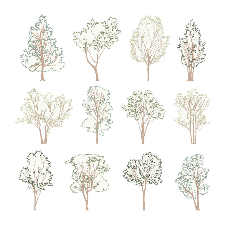 拼贴插画风小清新植物