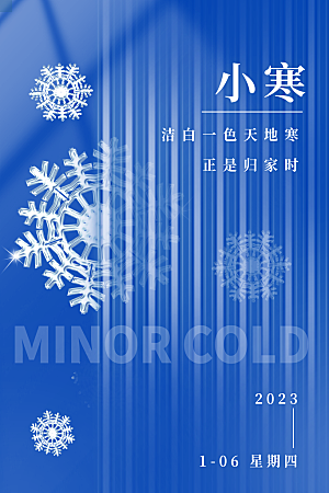大气小寒节气宣传海报