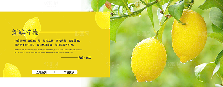 电商淘宝水果海报模板