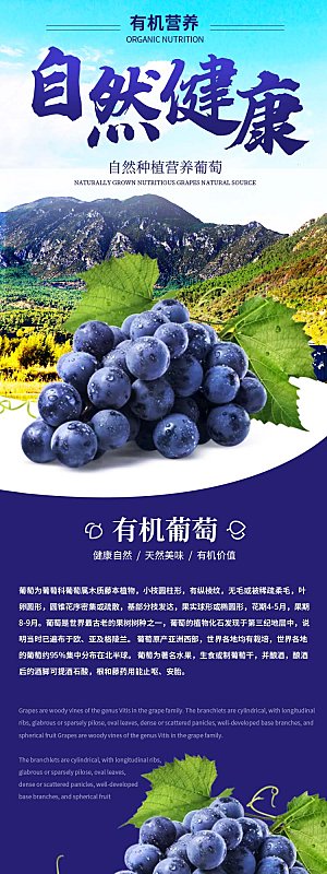 电商淘宝水果介绍详情页模板