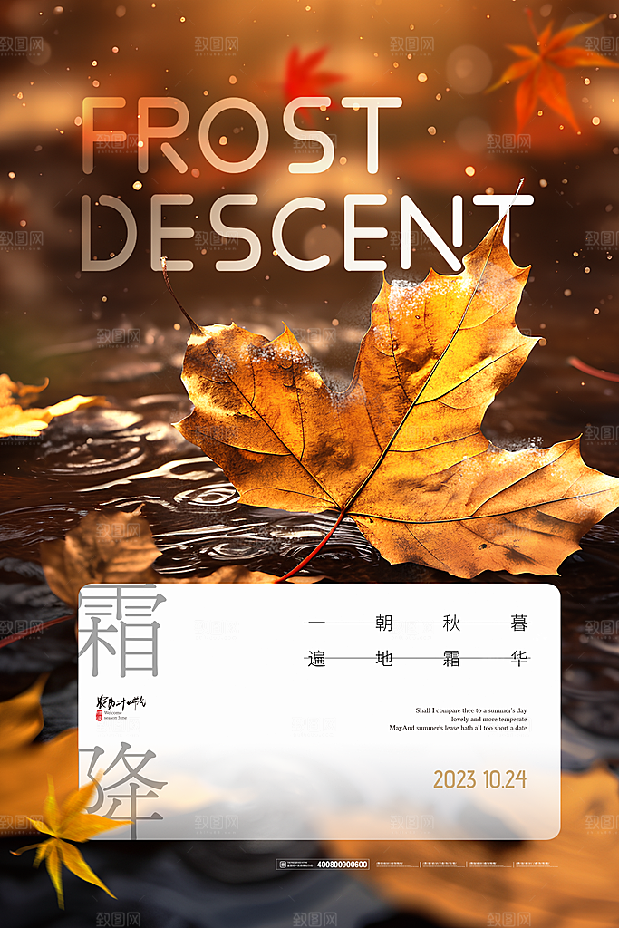质感霜降节气宣传海报