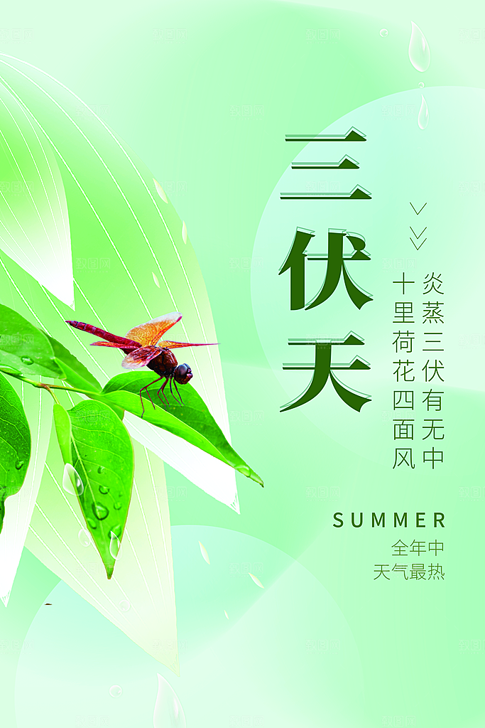 清新三伏天夏季宣传海报