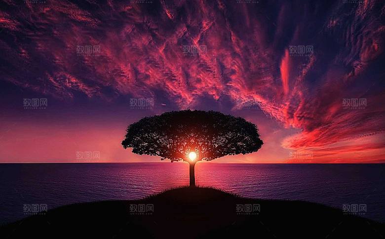 唯美清新自然风光杂志风背景摄影图