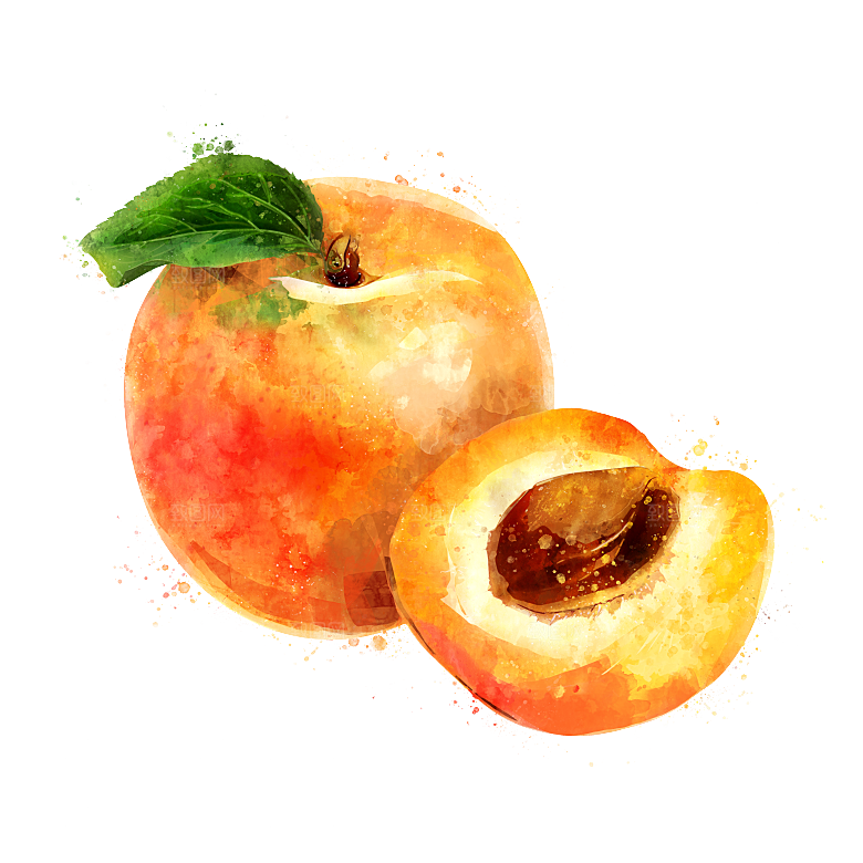 手绘水彩水墨水果蔬菜美食餐饮插画PNG免
