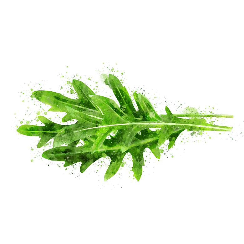 手绘水彩水墨水果蔬菜美食餐饮插画PNG免