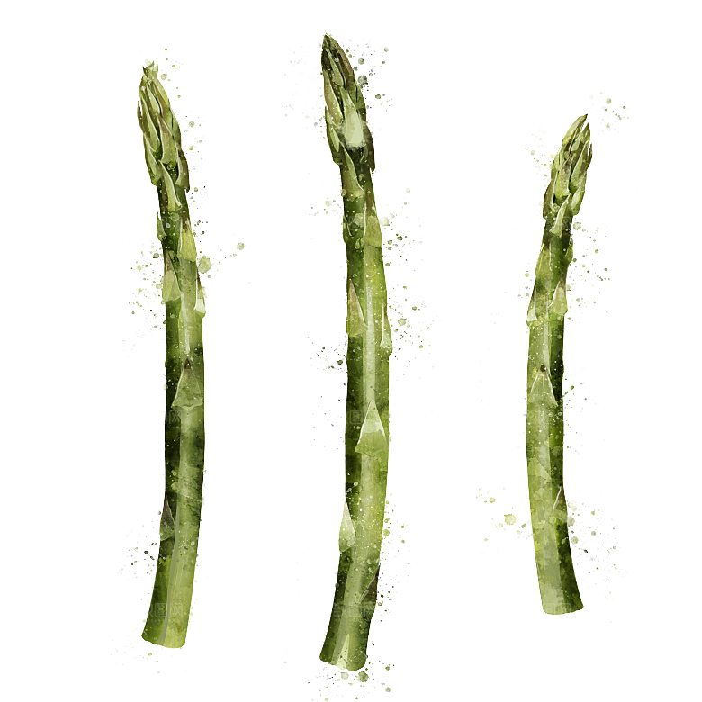 手绘水彩水墨水果蔬菜美食餐饮插画PNG免