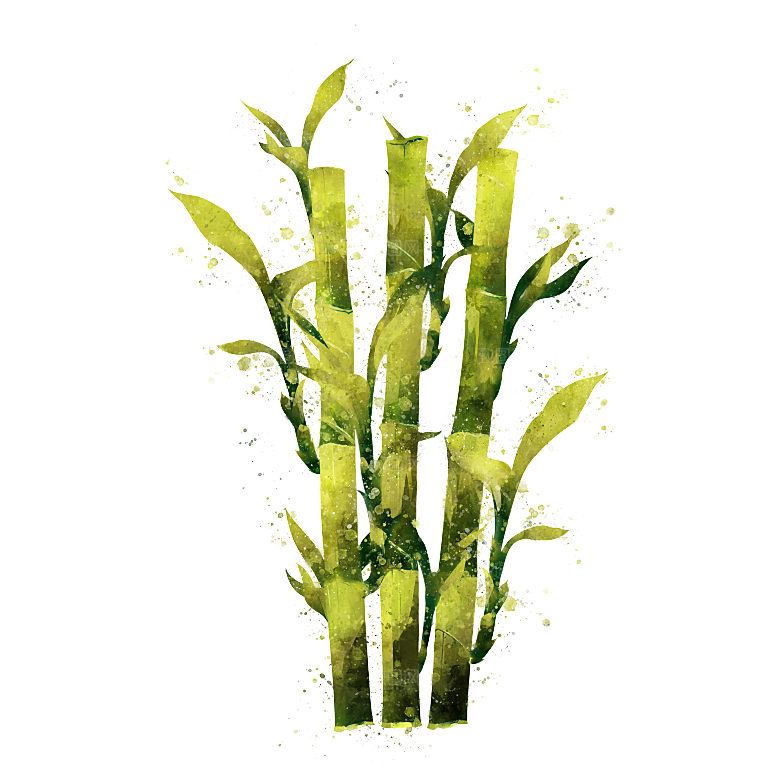 手绘水彩水墨水果蔬菜美食餐饮插画PNG免
