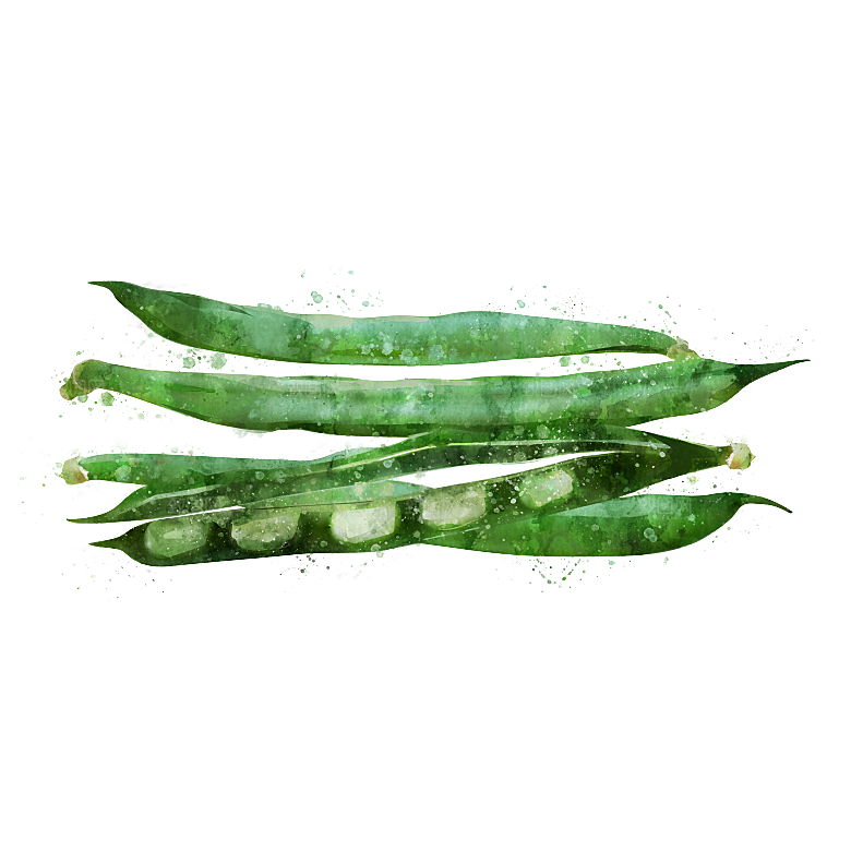 手绘水彩水墨水果蔬菜美食餐饮插画PNG免