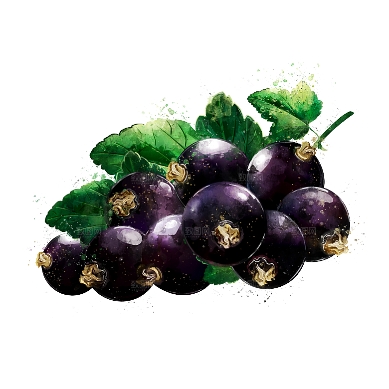 手绘水彩水墨水果蔬菜美食餐饮插画PNG免