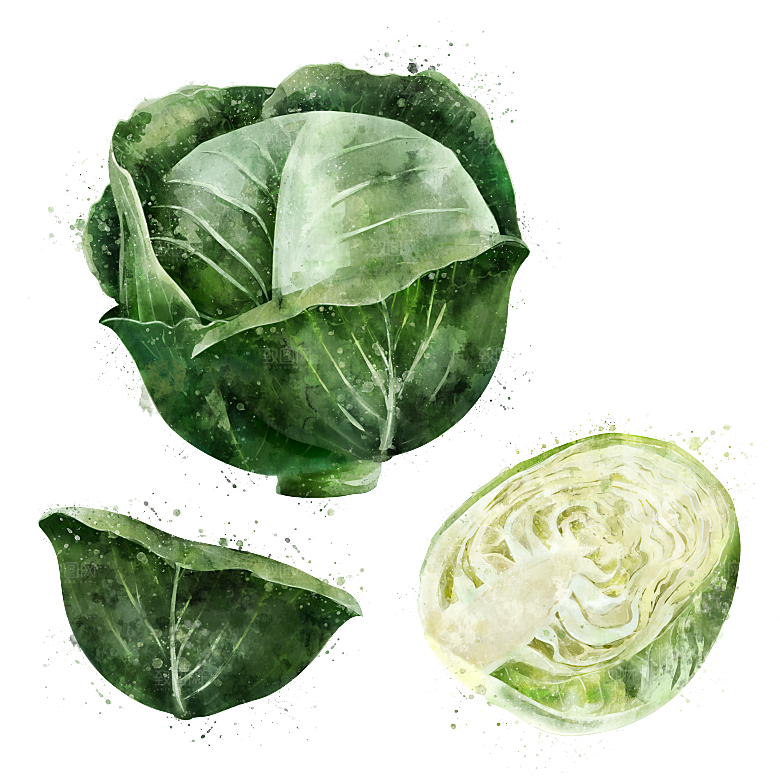 水果蔬菜美食餐饮插画PNG免扣元素