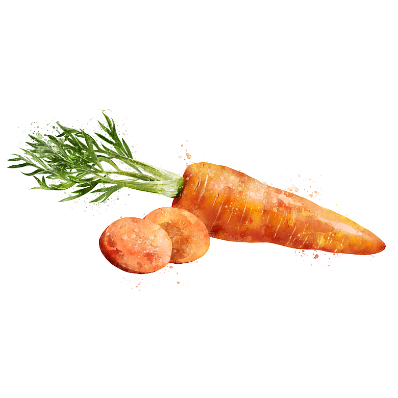 水果蔬菜美食餐饮插画PNG免扣元素