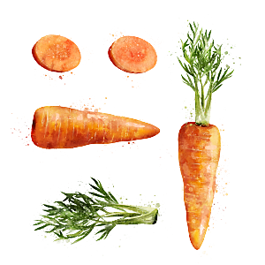 水果蔬菜美食餐饮插画PNG免扣元素