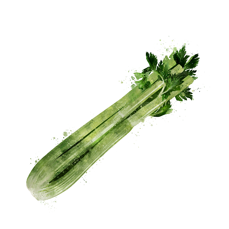 水果蔬菜美食餐饮插画PNG免扣元素