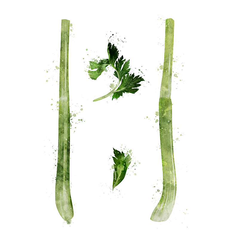 水果蔬菜美食餐饮插画PNG免扣元素