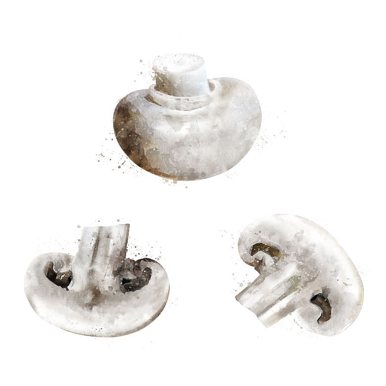 水果蔬菜美食餐饮插画PNG免扣元素