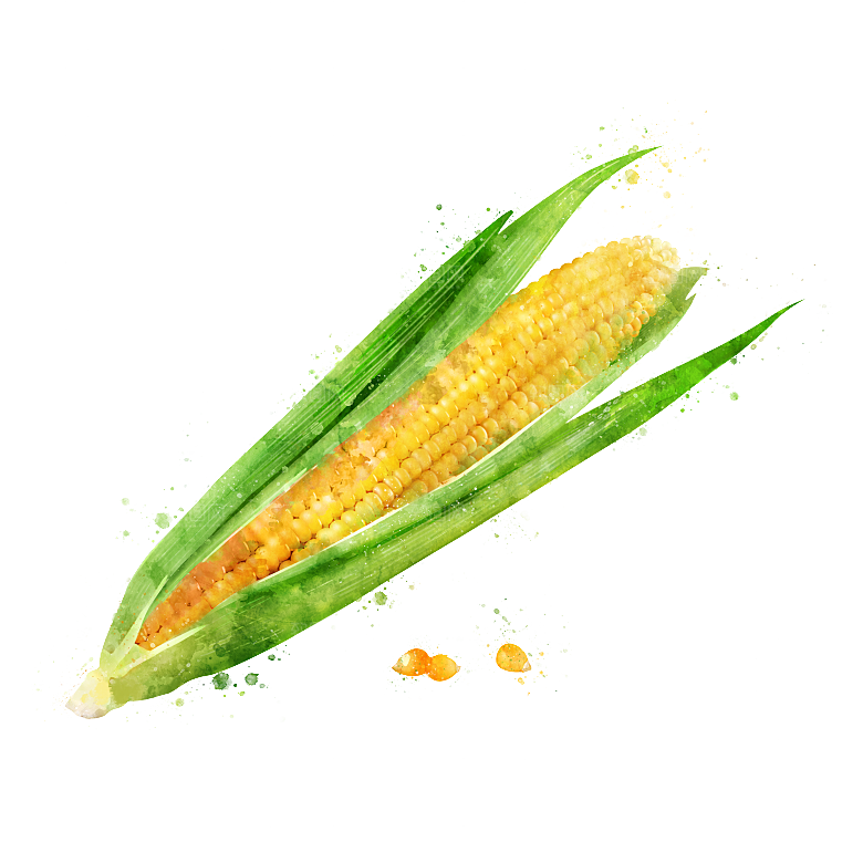 手绘水彩水墨水果蔬菜美食餐饮插画PNG免