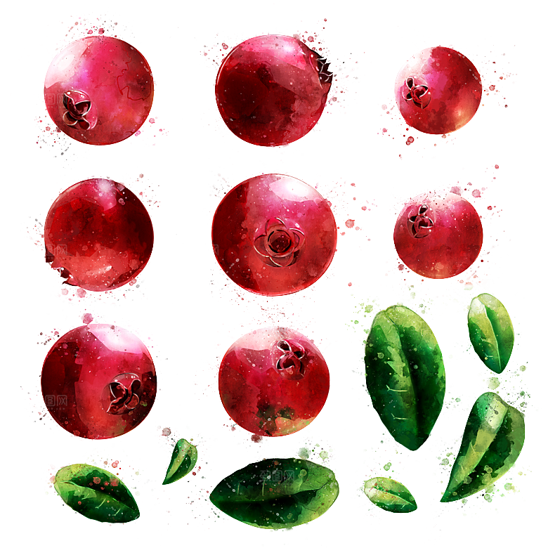 手绘水彩水墨水果蔬菜美食餐饮插画PNG免