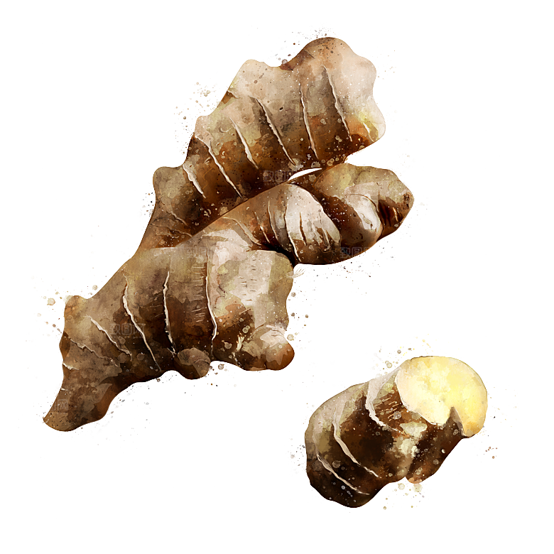 手绘水彩水墨水果蔬菜美食餐饮插画PNG免