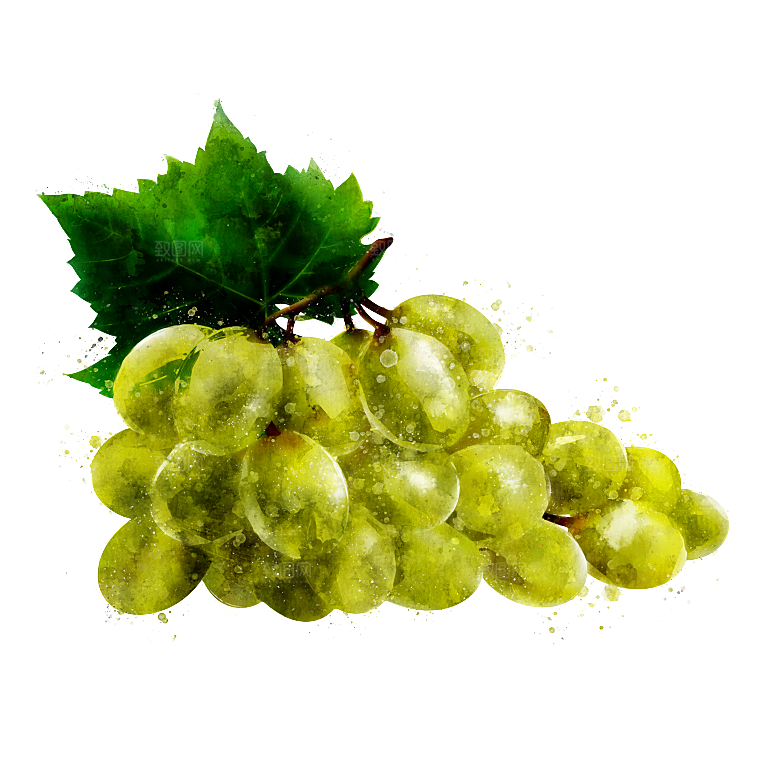 手绘水彩水墨水果蔬菜美食餐饮插画PNG免