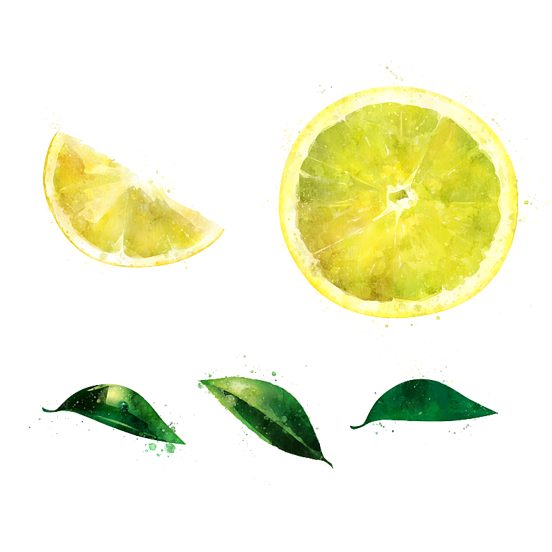 水果蔬菜美食餐饮插画PNG免扣元素