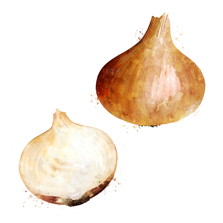 手绘水彩水墨水果蔬菜美食餐饮