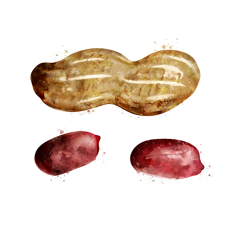 手绘水彩水墨水果蔬菜美食餐饮