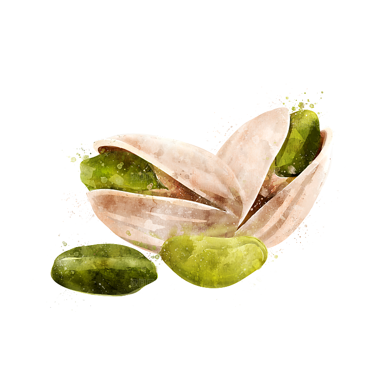 水果蔬菜美食餐饮插画PNG免扣元素