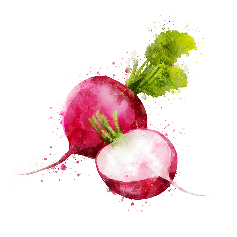 水果蔬菜美食餐饮插画PNG免扣元素