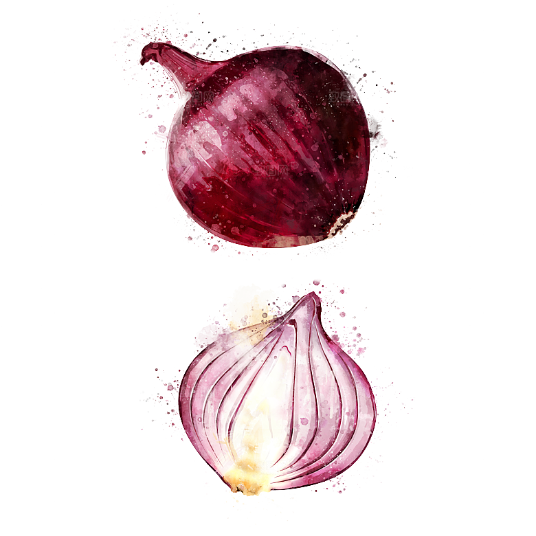 手绘水彩水墨水果蔬菜美食餐饮插画PNG免