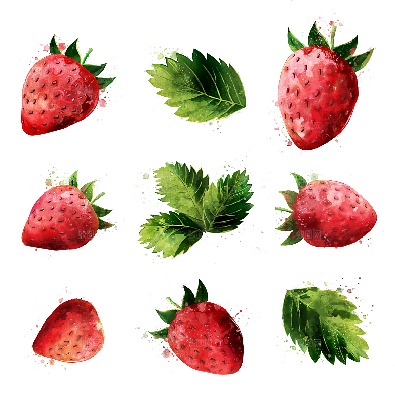手绘水彩水墨水果蔬菜美食餐饮插画PNG免