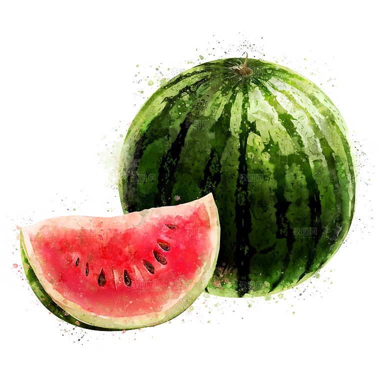 手绘水彩水墨水果蔬菜美食餐饮插画PNG免