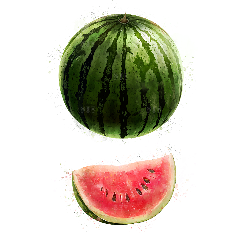 手绘水彩水墨水果蔬菜美食餐饮插画PNG免