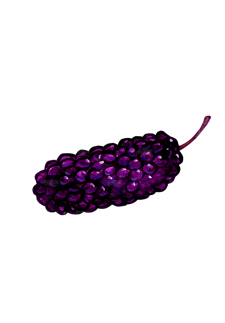 水果蔬菜美食餐饮插画PNG免扣元素