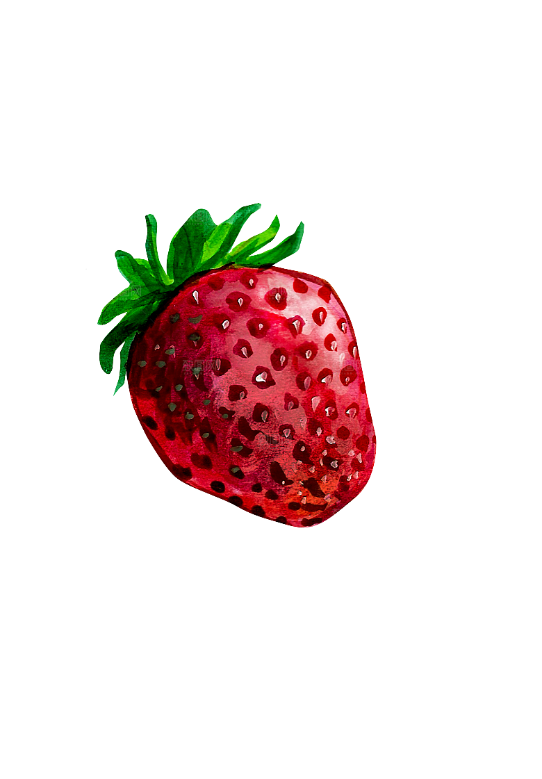 水果蔬菜美食餐饮插画PNG免扣元素