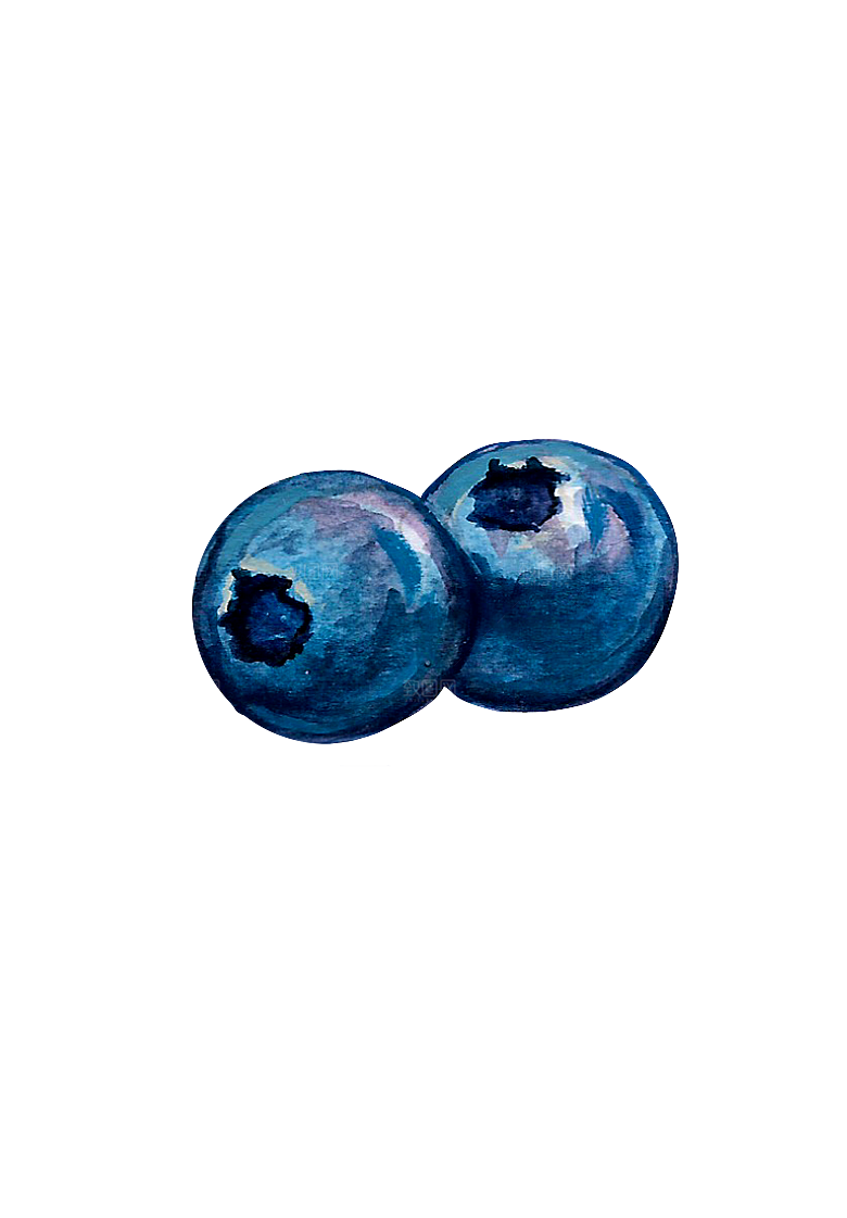 水果蔬菜美食餐饮插画PNG免扣元素