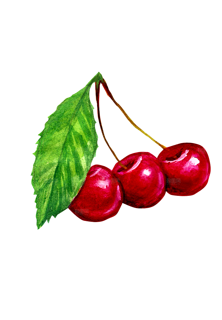 水果蔬菜美食餐饮插画PNG免扣元素