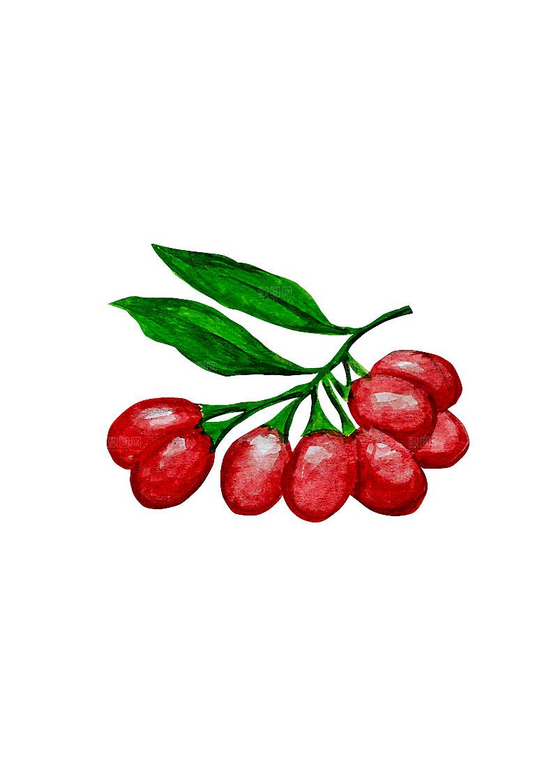 水果蔬菜美食餐饮插画PNG免扣元素