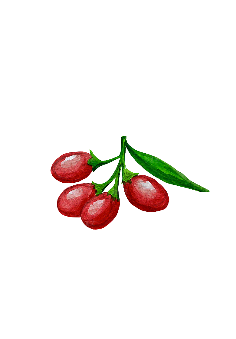 水果蔬菜美食餐饮插画PNG免扣元素