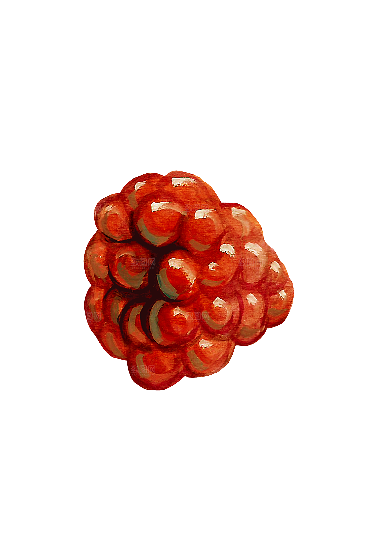 水果蔬菜美食餐饮插画PNG免扣元素