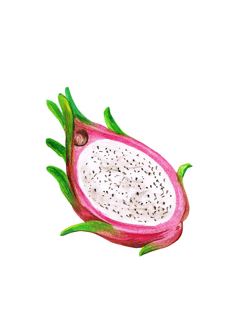 水果蔬菜美食餐饮插画PNG免扣元素