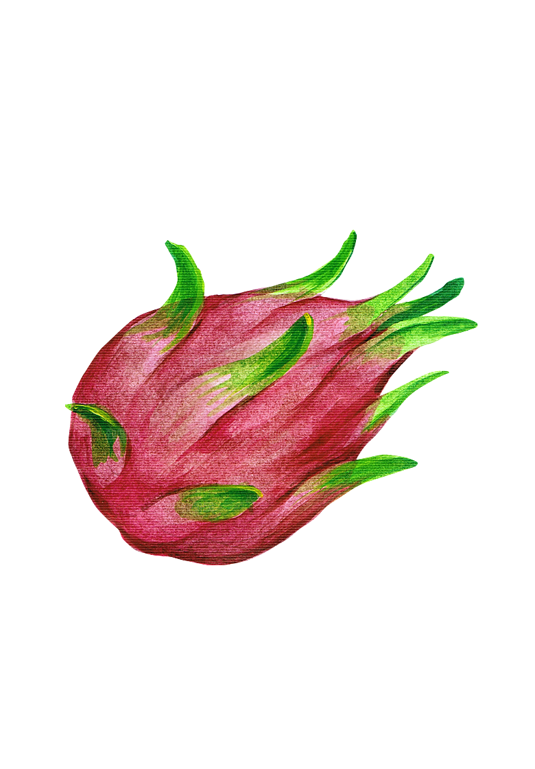 水果蔬菜美食餐饮插画PNG免扣元素