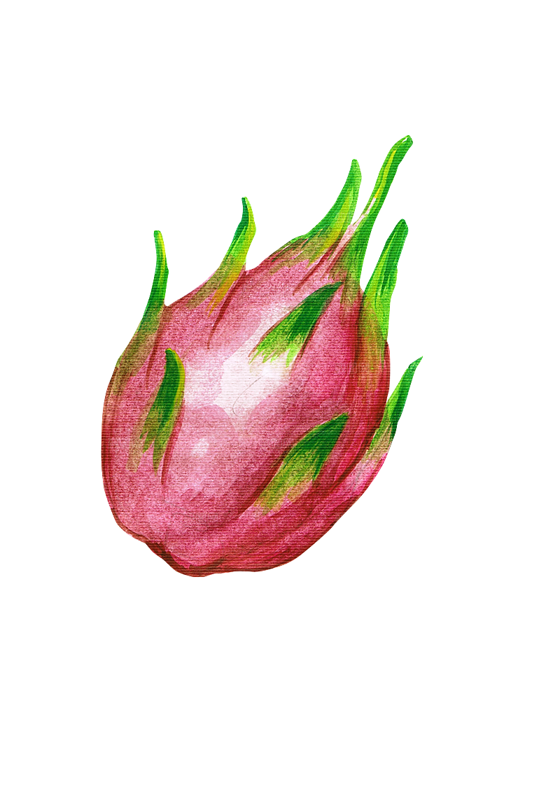 水果蔬菜美食餐饮插画PNG免扣元素